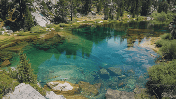 Yosemite Wonders: Nature's Masterpiece in California